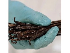 “ 不可少的香料 ”- 法國(guó)歐森緹馬達(dá)加斯加香草精